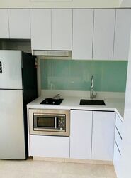 Eight Riversuites (D12), Condominium #497180171
